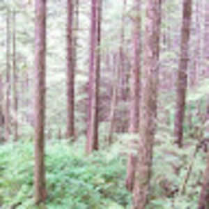 Meet your Posher, Michaela